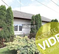 Rodinný dům ve Velkém Kýru s udržovanou zahradou, zelenými tújemi a plotem.