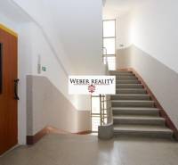 Chodba s výtahem a schodištěm, vedoucí do patra v 2-pokojovém bytě.