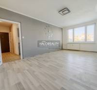 Obývací pokoj v 2pokojovém bytě s podlahou s dřevěným dekorem a velkými okny.