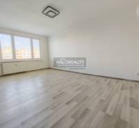 Pokoj s velkými okny a podlahou s dřevěným dekorem ve 2pokojovém bytě.