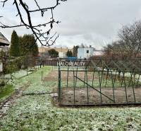 Zahrada u rodinného domu v Prievidzi s trávníkem a konstrukcí na pěstování.