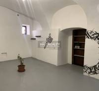 Kanceláře s bílými stěnami, květinovým vzorem a malou pokojovou rostlinou.