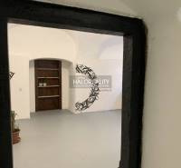 Interiér kanceláří s bílými stěnami a černými ozdobami, rostliny na podlaze.