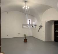 Interiér kanceláří s bílými stěnami, obloukovým stropem a rostlinou v květináči.