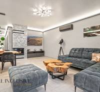 Interiér rodinného domu s pohodlnou sedačkou, krbem a stolem z dřevěného dekoru.