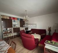 Obývací pokoj v 3-pokojovém bytě s podlahou s dřevěným dekorem a červenými křesly.