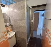 Koupelna s moderními obklady a sprchovým koutem v 1-pokojovém bytě.