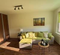 Obývací pokoj jednopokojového bytu s pohovkou, obrazem a podlahou s dřevěným dekorem.