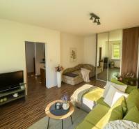 Obývací pokoj v jednopokojovém bytě s podlahou s dřevěným dekorem, zelená sedačka.