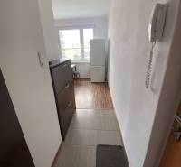 Chodba v 1-pokojovém bytě s interkomem, skříní a podlahou s dřevěným dekorem.