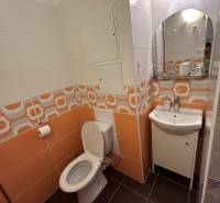 Koupelna v 1-pokojovém bytě s oranžovými obklady a umyvadlem.