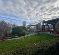 Zahrady Spišské Nové Vsi s upravenými keři, trávníkem a dřevěným přístřeškem.