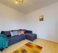 Pokoj v 3-pokojovém bytě s pohovkou, podlahou s dřevěným dekorem a policemi.