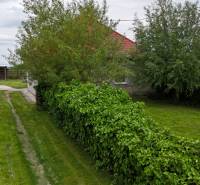 Pozemok - výstavba Jelka