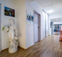 Chodba v rodinném domě s podlahou s dřevěným dekorem, dekorativní socha a obrazy na stěnách.