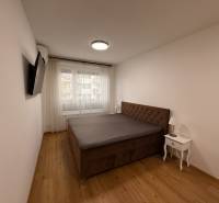 Ložnice s podlahou s dřevěným dekorem, manželskou postelí a televizorem v dvoupokojovém bytě.