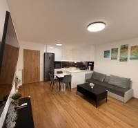 Obývací pokoj s kuchyní a podlahou s dřevěným dekorem v 2pokojovém bytě.