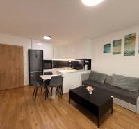 Obývací pokoj v 2pokojovém bytě s kuchyní, pohovkou a podlahou s dřevěným dekorem.