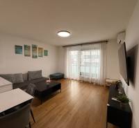 Obývací pokoj v 2pokojovém bytě s podlahou s dřevěným dekorem a gaučem.