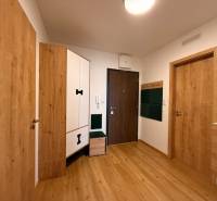 Vstupní hala 2pokojového bytu s podlahou s dřevěným dekorem a dveřmi ze stejného materiálu.
