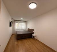 Ložnice s postelí, TV a podlahou s dřevěným dekorem v 2-pokojovém bytě.