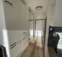 Chodba v 1-pokojovém bytě s bílými skříněmi a podlahou s dřevěným dekorem.