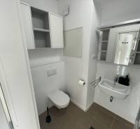 Koupelna s umyvadlem a toaletou, vybavená úložnými skříňkami a zrcadlem.