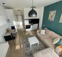 Interiér 1-pokojového bytu s kuchyní, pohodlnou sedačkou a podlahou s dřevěným dekorem.