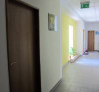 Chodba s dveřmi a rostlinou, na ulici Štúrova, směřuje ke kancelářím.