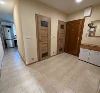 Interiér chodby se vstupními dveřmi a podlahou s dřevěným dekorem ve 4pokojovém bytě.