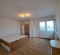 Ložnice ve 4pokojovém bytě s podlahou s dřevěným dekorem, postelí a skříní.