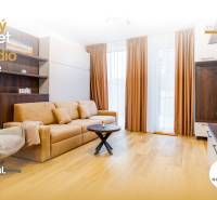 Obývací pokoj v 1-pokojovém bytě s podlahou s dřevěným dekorem a pohodlnou pohovkou.