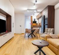 Obývací pokoj s podlahou s dřevěným dekorem, pohodlnou sedačkou a kuchyňským stolem.