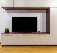 Obývací stěna v 1-pokojovém bytě, podlaha s dřevěným dekorem, televize a dekorace.