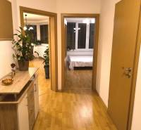 Chodba v 2-pokojovém bytě s podlahou s dřevěným dekorem a rostlinami.