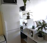 Kuchyňský kout v 2-pokojovém bytě s bílou lednicí a rostlinami na poličkách.