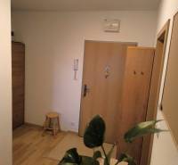 Chodba v 2-pokojovém bytě s podlahou s dřevěným dekorem a zelenou rostlinou.