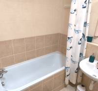 Koupelna v 2-pokojovém bytě s vanou a dlaždicemi v neutrálních odstínech.