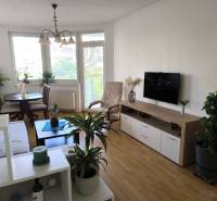 Obývací pokoj v 2pokojovém bytě s podlahou s dřevěným dekorem a množstvím rostlin.