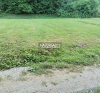 Pozemky - bydlení v Modrové zahrnují travnatou plochu u lesa s cestou.