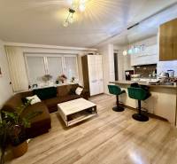 Obývací pokoj a kuchyň v 2pokojovém bytě s podlahou s dřevěným dekorem.