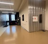 Chodba v kancelářích s lesklou podlahou, výtahem a dekorativní stěnou s rostlinami.