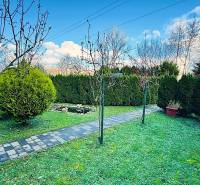 Zahrada u chaty v Partizánském s upraveným chodníkem a živým plotem.