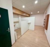 Interiér obchodních prostor s podlahou s dřevěným dekorem a zelenými dveřmi s označením WC.