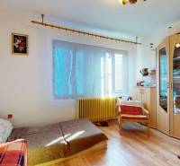 Pokoj v rodinném domě s podlahou s dřevěným dekorem, sedačkou a skříňkou.