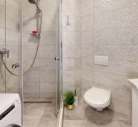 Koupelna v 3-pokojovém bytě s toaletou, sprchou, pračkou a ozdobnými rostlinami.