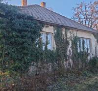 Chata v Suchej nad Parnou zarostlá břečťanem s okolní vegetací.