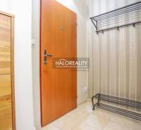 Vstupní chodba 2pokojového bytu s botníkem a věšákem na stěně.