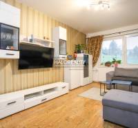 Obývací pokoj v 2-pokojovém bytě s podlahou s dřevěným dekorem a pohodlnou sedačkou.