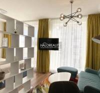 Obývací pokoj s prosvětlenými závěsy, podlahou s dřevěným dekorem a knihovnou v 1-pokojovém bytě.